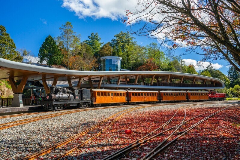 阿里山林鐵賞楓列車季節限定　11/18開放訂票