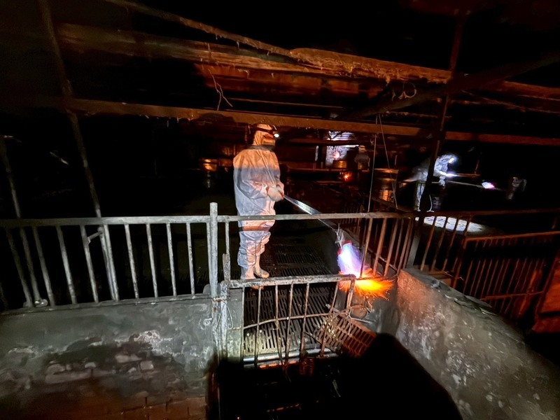 非洲豬瘟案場火焰槍清消 環境部加強稽查禁廚餘