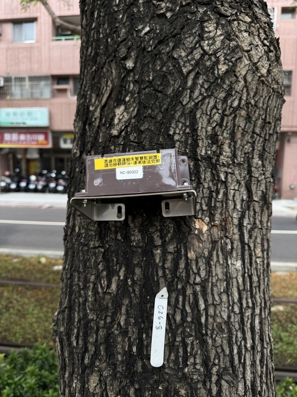 高雄輕軌路樹導入AI監測　樹木傾斜情形每小時回報