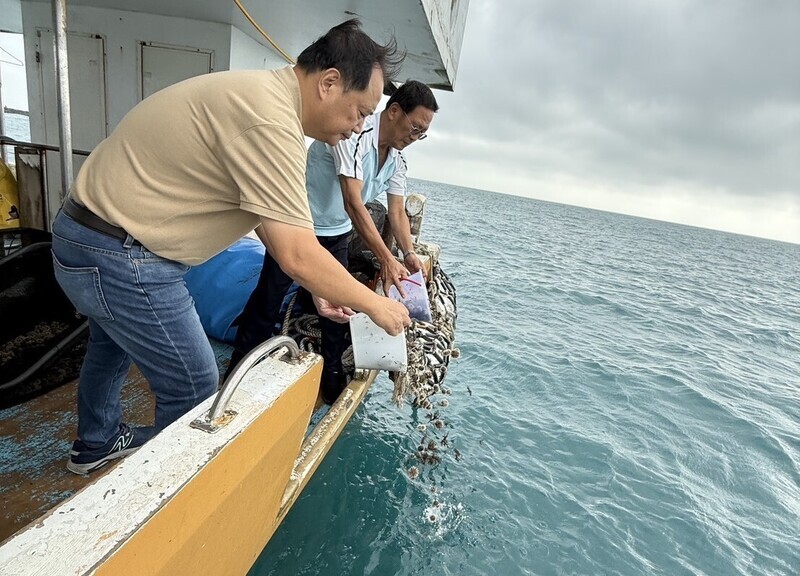 澎湖區漁會放流馬糞海膽種苗　守護海洋生機