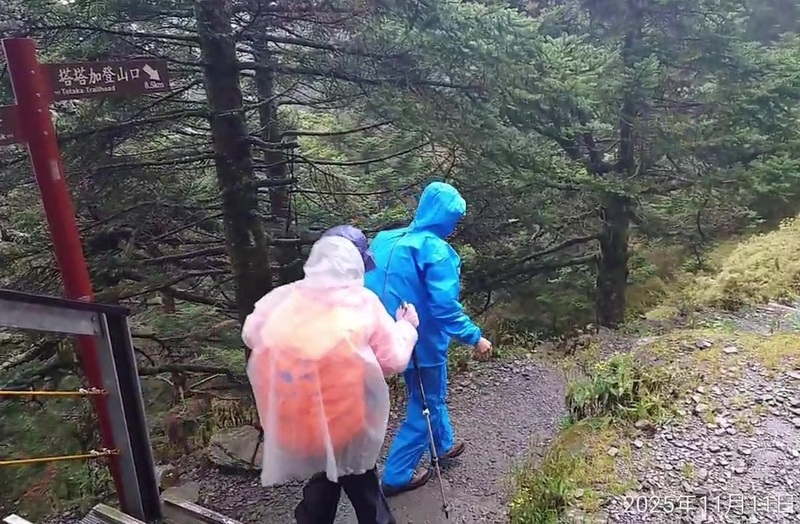 颱風鳳凰逼近　玉山生態保護區81隊共286人下撤