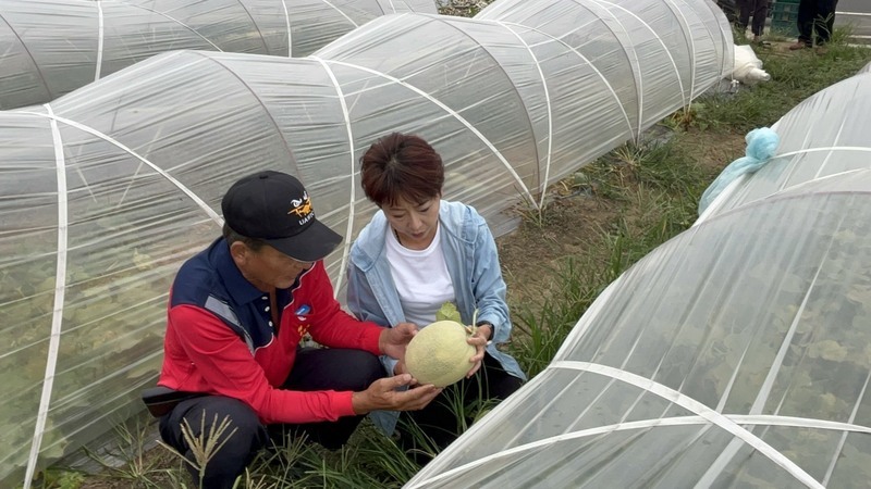 陳亭妃：鳳凰來襲守台南　幕僚代完成市長初選登記