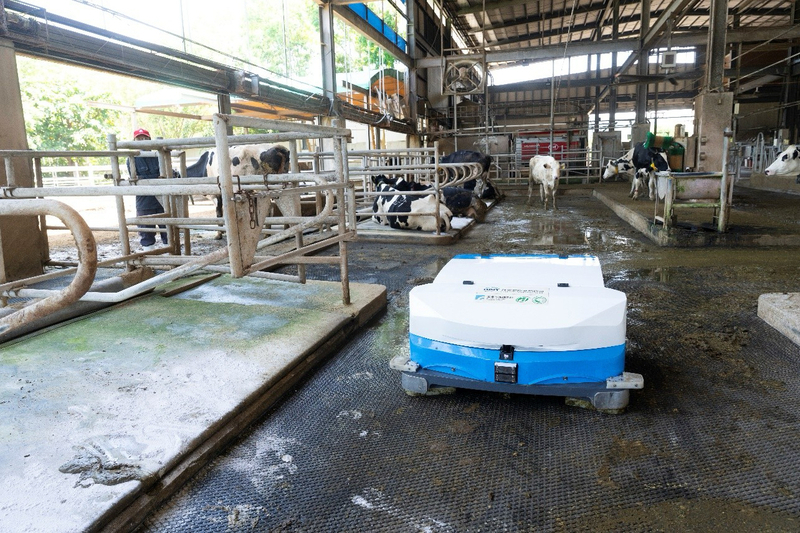 首台國產乳牛清糞機器人 年省37萬元並節水