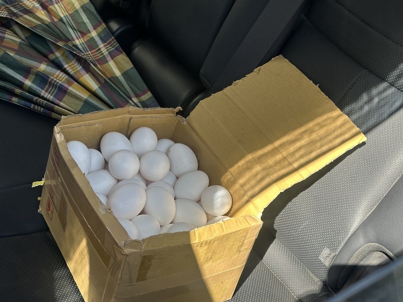 中市蛋行賣芬普尼蛋民眾退貨撲空　網友標註賣毒蛋