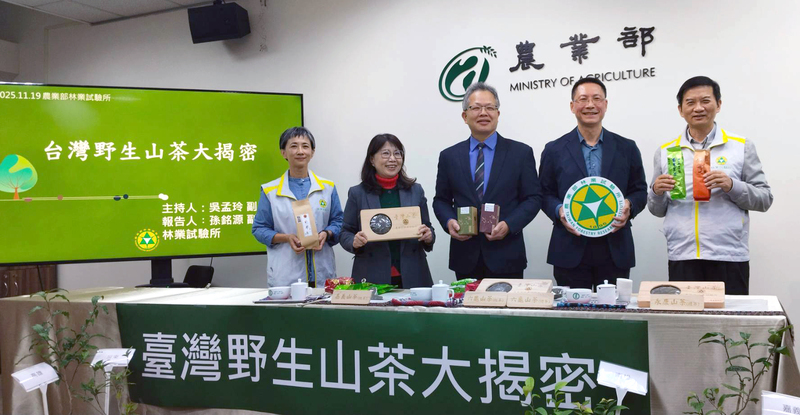 台灣唯一可製茶原生種　林試所推廣山茶