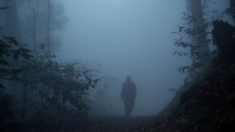 大造林紀錄片「複層之森」 交織一層又一層林班故事
