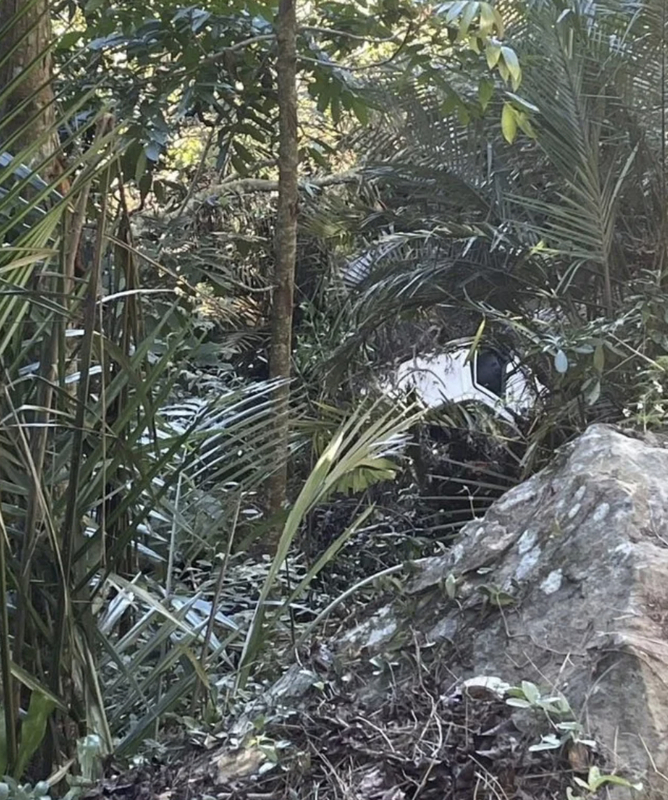 南投草屯墜谷小貨車內驚見乾屍　疑國姓鄉失聯男子