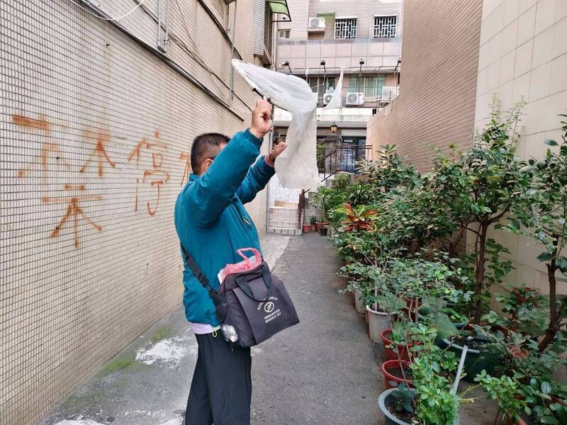 監測31天未出現本土病例　台南登革熱疫情解除