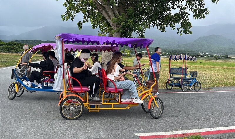 台東休閒慢車驗車僅30餘輛 業者提檢驗費高不合理