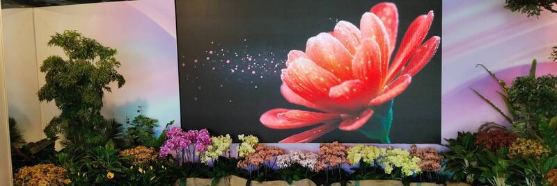台灣花卉推介會開幕 1500餘品種免費欣賞