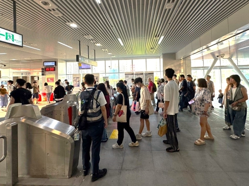 新社花海吸引人潮 中捷綠線11月運量創新高