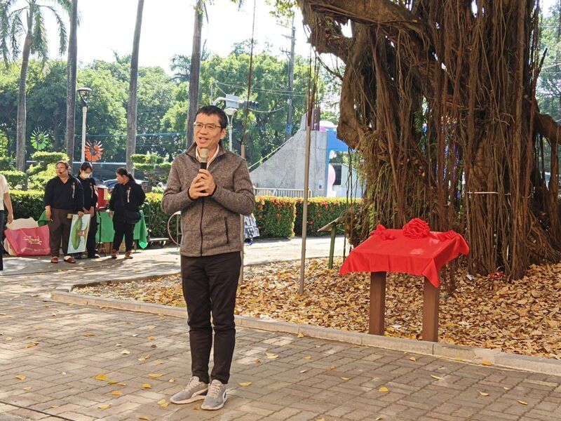 高市中路國小百年榕樹獲列「受保護樹木」 阿蓮首棵