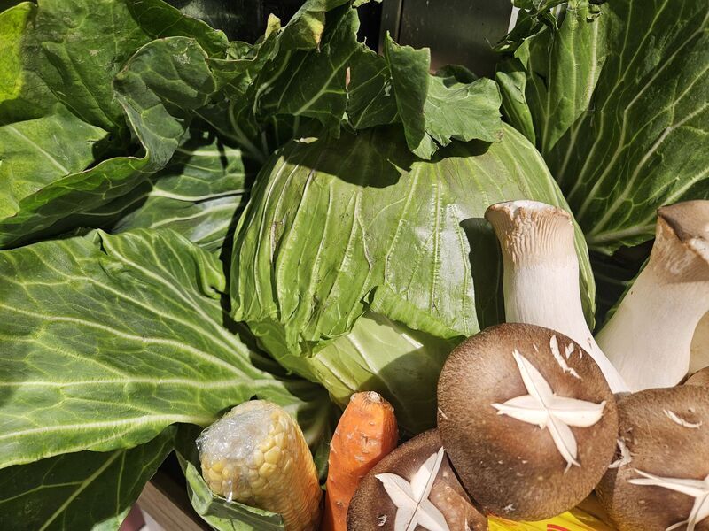 研究指素食兒少心血管優勢　專家籲謹慎規劃補營養