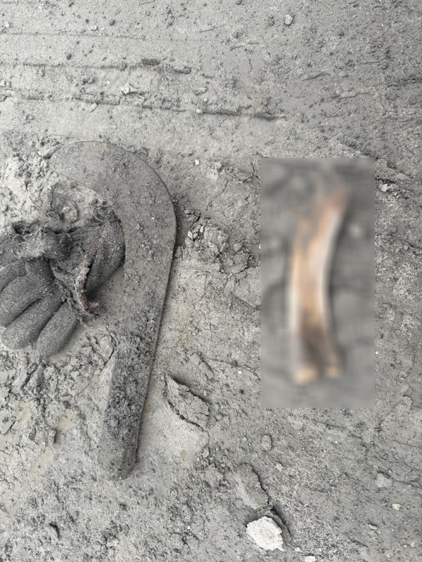 光復災區尋獲失聯夫妻衣物及骨骸 鑑定非人骨