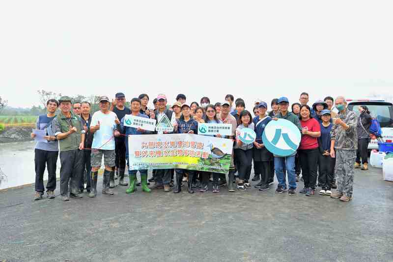 嘉義九芎埤移除外來魚種　打造水雉安心育嬰房