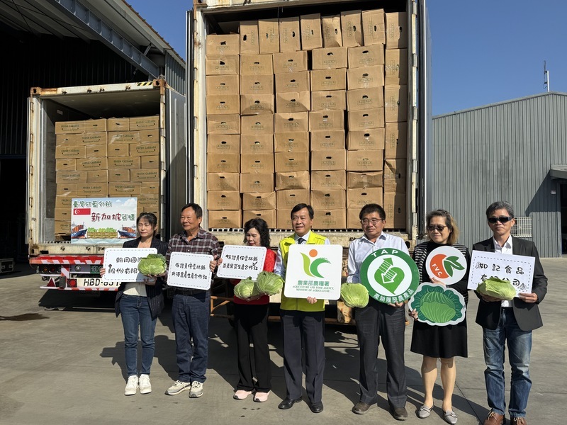 台灣高麗菜出口新加坡 向世界分享鮮甜好滋味