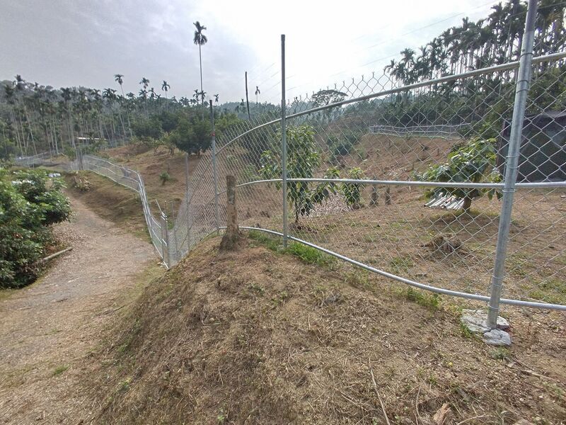 嘉義中埔農民依規範架設電圍網 獼猴不再侵擾果園