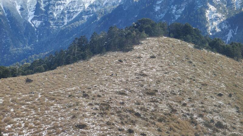 5人登山隊雪山待援 出動直升機救下山送醫