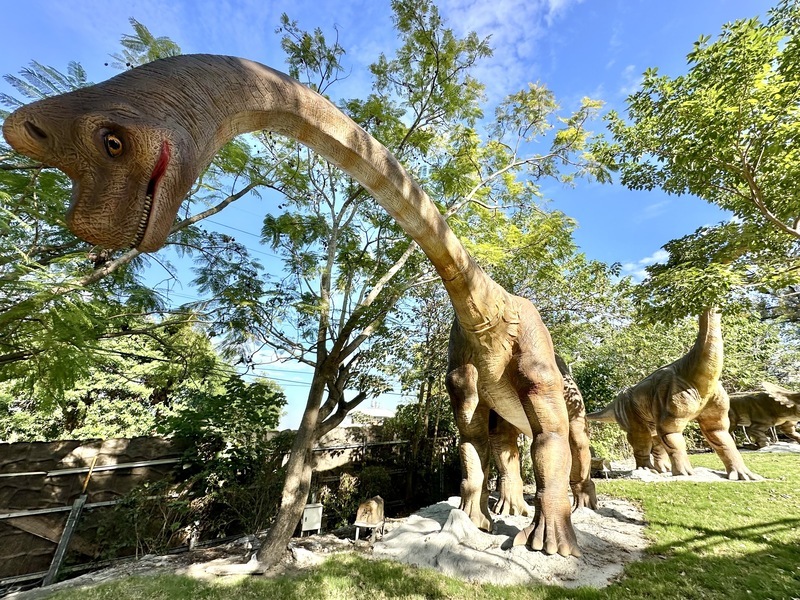 彰化百果山探索樂園將回歸　居民開心：終於等到