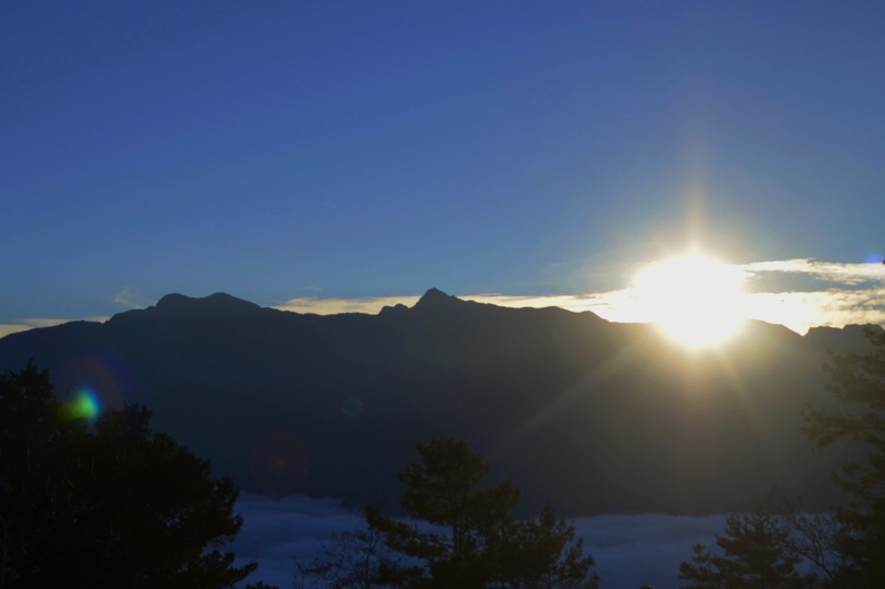 2026年元旦阿里山天氣晴 嘉縣府：期待見日出