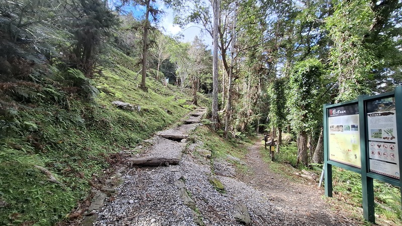 玉山東部園區瓦拉米步道尋寶 沉浸人文歷史田園風光