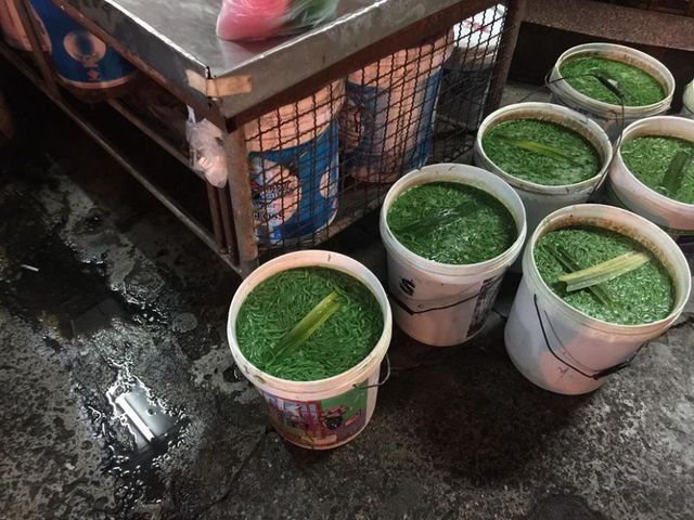 放置桶子的地板濕漉漉的樣子看起來相當骯髒(翻攝曼谷椰子網)