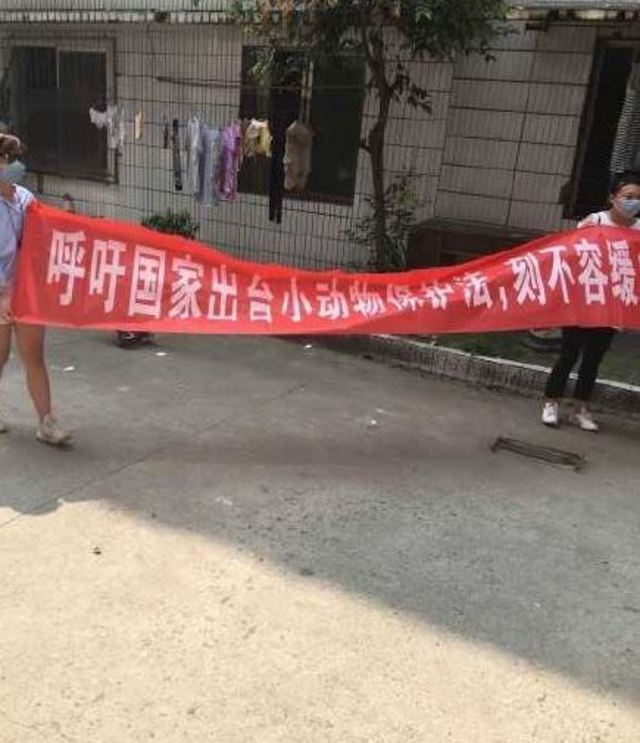 大陸網友拉布條抗議男子虐狗.