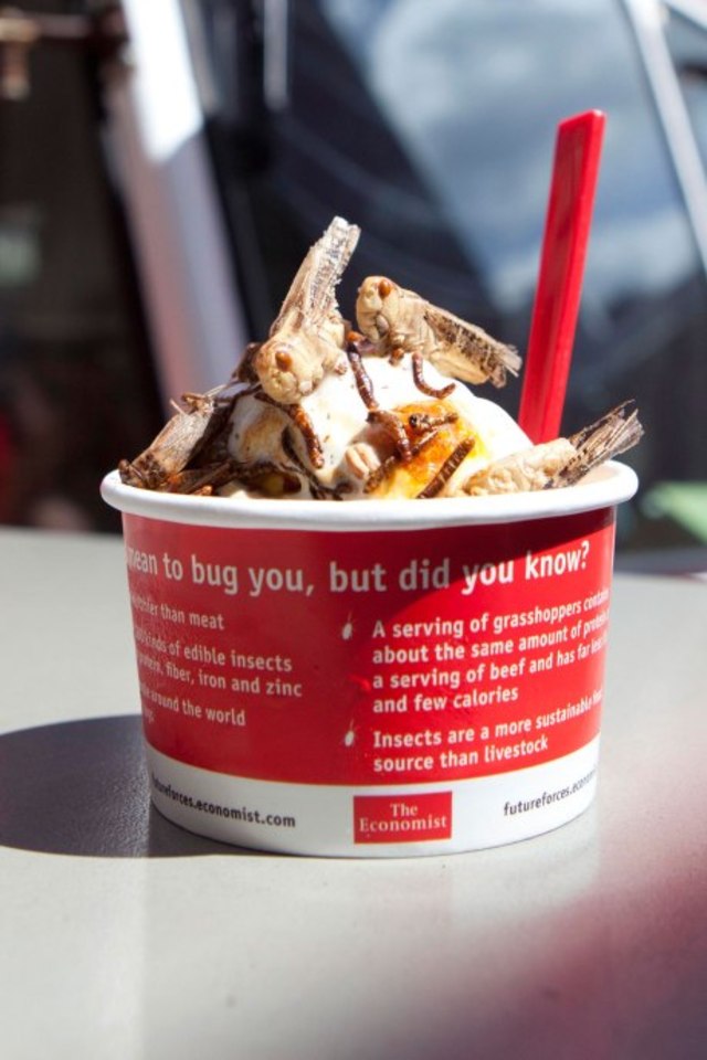 昆蟲冰淇淋。(翻攝紐約郵報 New York Post)