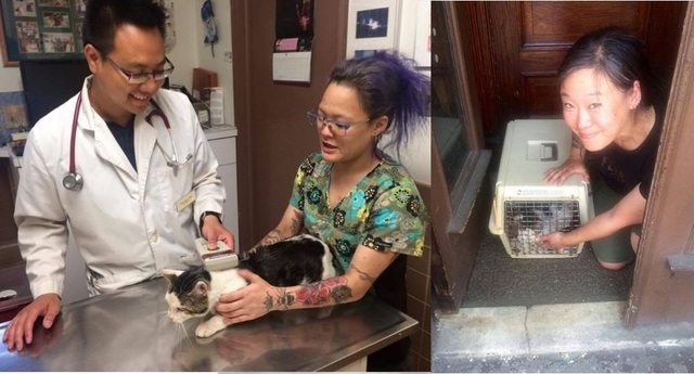 (左)送醫檢查，(右)好心的Karen收留了牠
