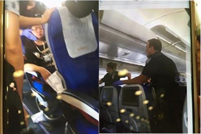 機上乘客情況（翻攝網路）