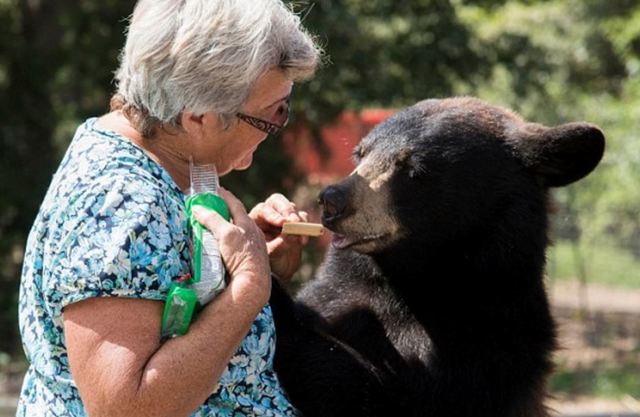 熊熊愛撒嬌討吃