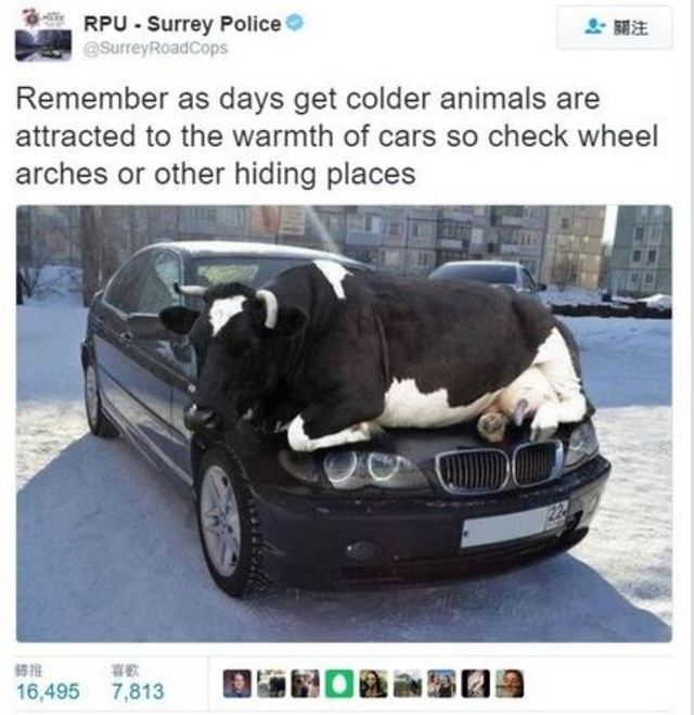 推特上的溫馨提醒.