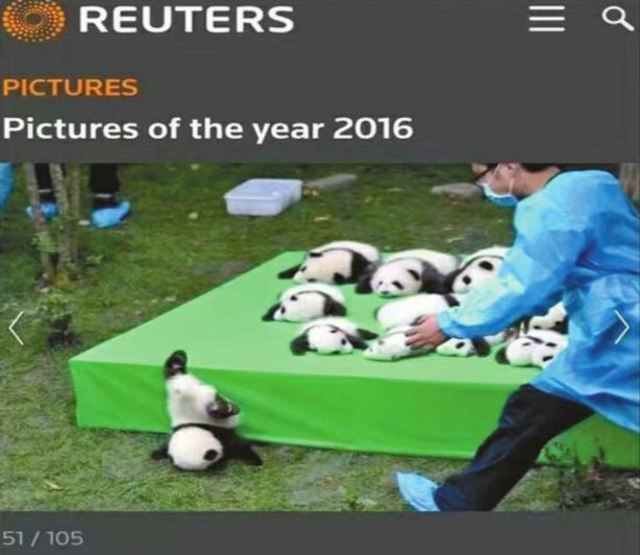 獲選年度最佳照片