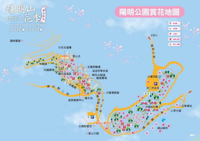 陽明山賞櫻地圖。(台北市公園處提供)
