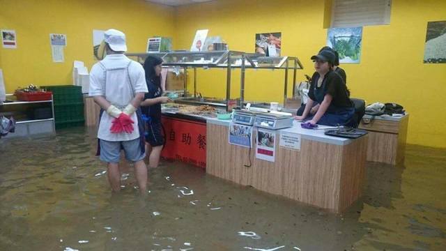 翻攝輔大學生會粉絲團