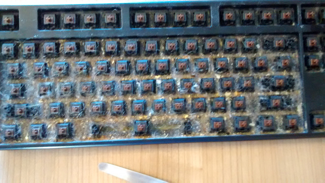 髒到令人想吐的鍵盤(翻攝reddit)