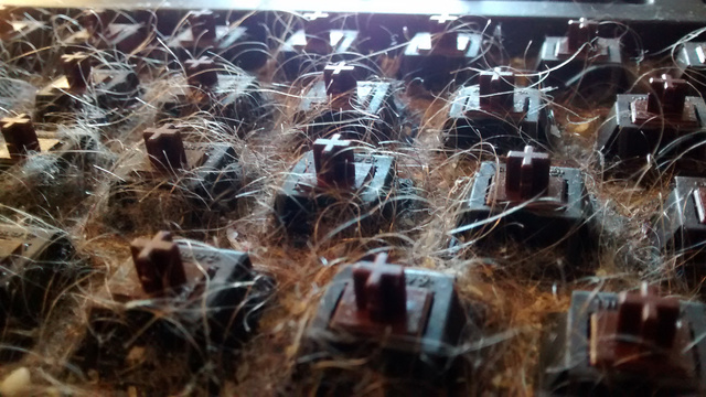 髒到令人想吐的鍵盤(翻攝reddit)