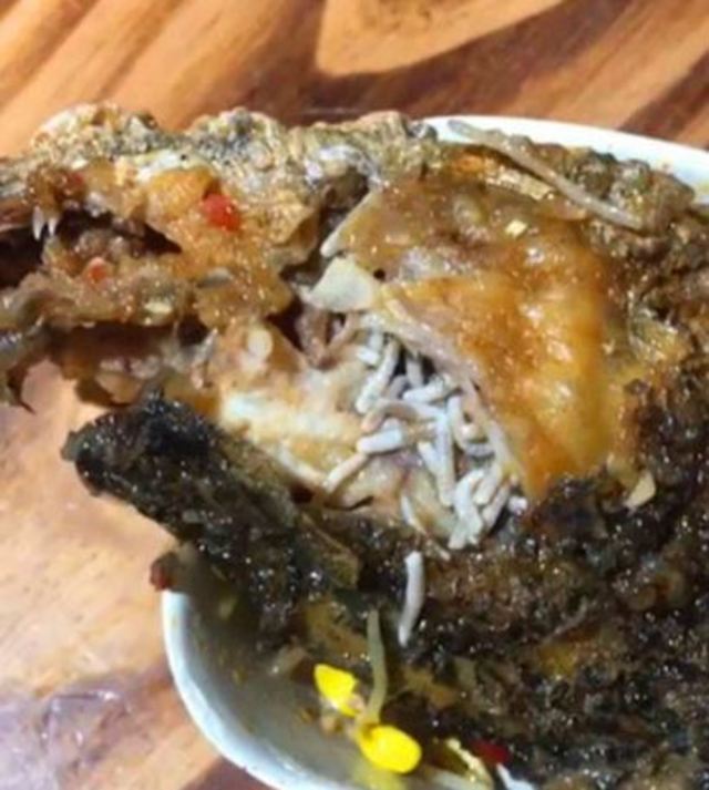 魚頭是蛆的大平台。