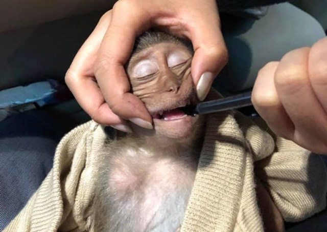 (翻攝Local News Singapore)