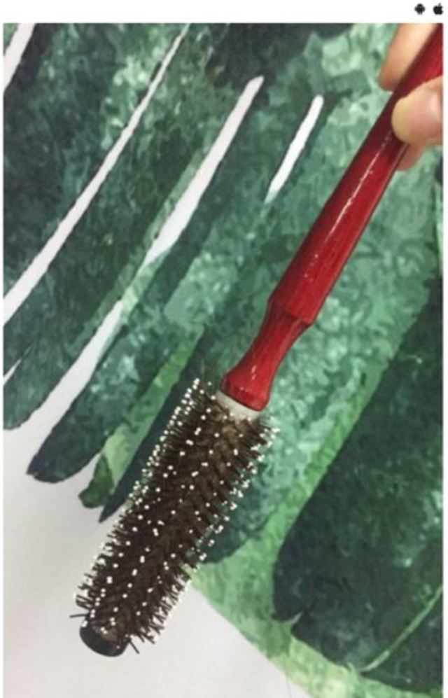 原來是梳子上的小白點(翻攝PTT)