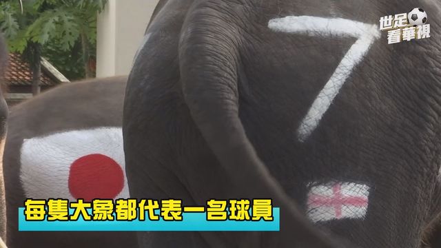 (畫面來源/SNTV)