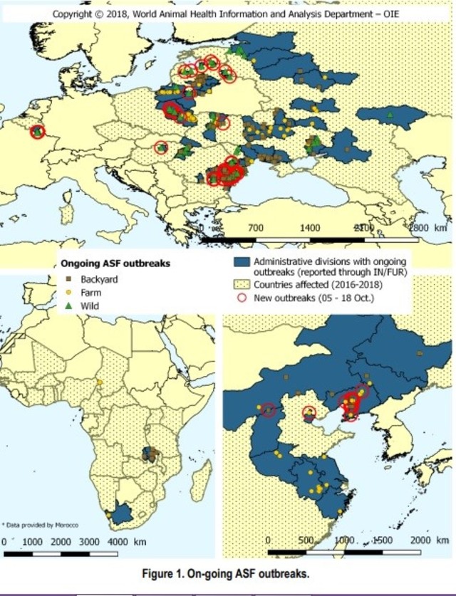 圖三:非洲豬瘟十月疫情狀況更新。(翻攝世界動物衛生組織OIE)