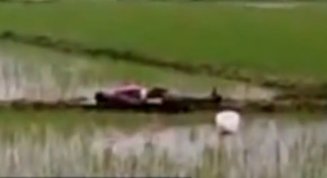 農夫在田中插秧，瞬間被閃電劈中，當場死亡。(翻攝梨視頻)