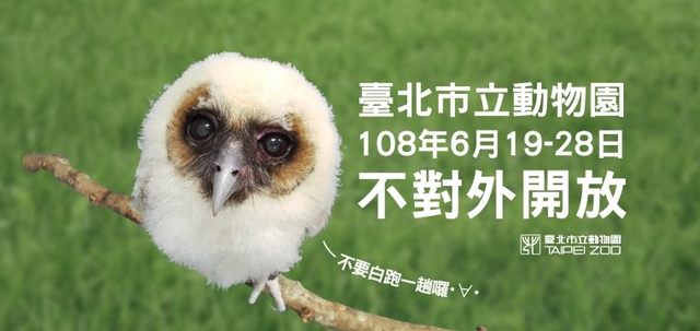 台北市立動物園6月19到28日（共10天）暫停對外開放。（台北市立動物園提供）