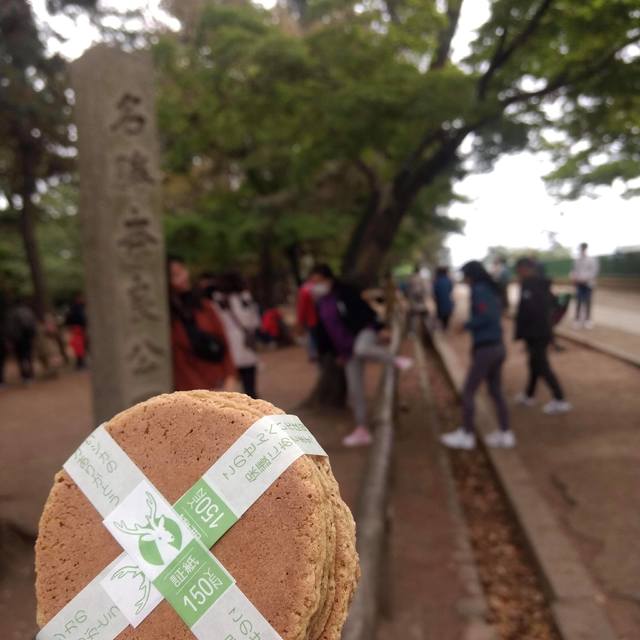 鹿仙貝示意圖(網友提供)