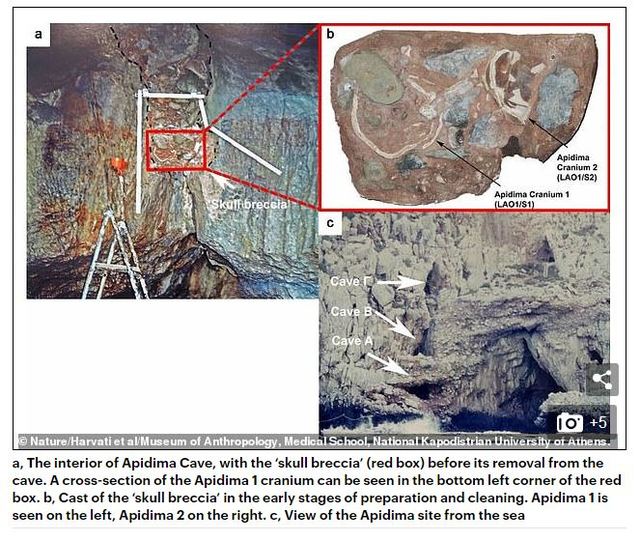 Apidima 1 和 Apidima 2 在希臘南部阿皮迪瑪洞穴（Apidima Cave）角礫岩堆內出土的位置 （翻攝自／dailymail 官網）