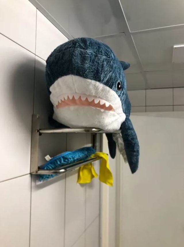 小鯊魚洗完澡，正在乾澡。(翻攝DCARD)