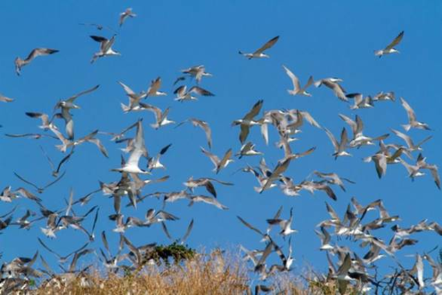 （交通部觀光局）