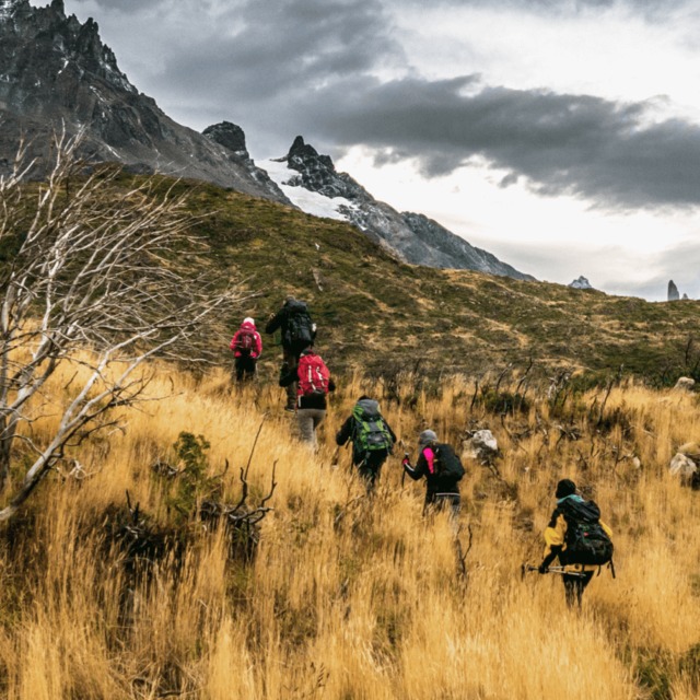 第一階段為期兩週，會請5名科學志工先前往智利接受培訓。(翻攝Airbnb南極計劃官網)