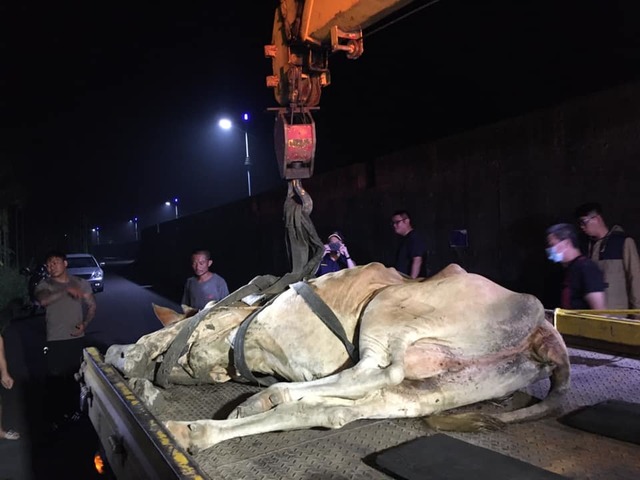 警方協請消防、民間拖吊業者到場協助。(翻攝臉書)